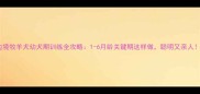 边境牧羊犬幼犬期训练全攻略1-6月龄关键期这样做聪明又亲人