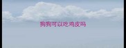 狗狗可以吃鸡皮吗