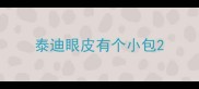 泰迪眼皮有个小包