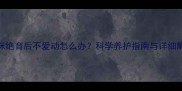 猫咪绝育后不爱动怎么办科学养护指南与详细解答