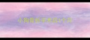 小狗骨折手术后1个月