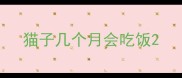 猫子几个月会吃饭