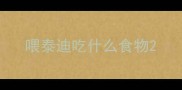 喂泰迪吃什么食物