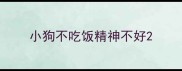 小狗不吃饭精神不好