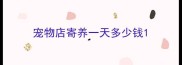 宠物店寄养一天多少钱