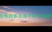 拉布拉多洗澡不吹干湿疹