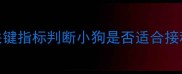 疫苗前必看5个关键指标判断小狗是否适合接种避免疫苗无效