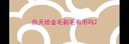 热天给金毛剃毛有用吗