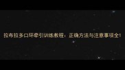 拉布拉多口环牵引训练教程正确方法与注意事项全
