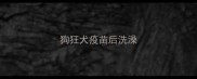 狗狂犬疫苗后洗澡