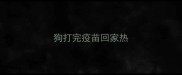 狗打完疫苗回家热