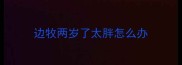 边牧两岁了太胖怎么办