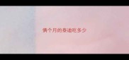 俩个月的泰迪吃多少