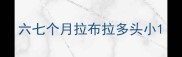六七个月拉布拉多头小