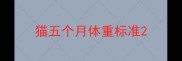 猫五个月体重标准