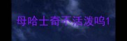 母哈士奇不活泼呜