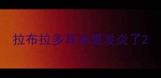 拉布拉多耳朵里发炎了