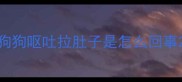 狗狗呕吐拉肚子是怎么回事