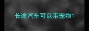 长途汽车可以带宠物