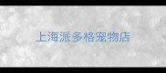 上海派多格宠物店