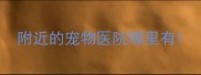 附近的宠物医院哪里有