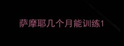 萨摩耶几个月能训练