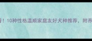 新手必看10种性格温顺家庭友好犬种推荐附养护指南