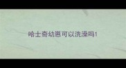 哈士奇幼崽可以洗澡吗