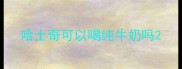 哈士奇可以喝纯牛奶吗
