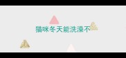 猫咪冬天能洗澡不