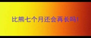 比熊七个月还会再长吗