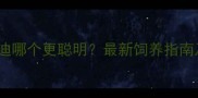 比熊犬和泰迪哪个更聪明最新饲养指南及训练技巧