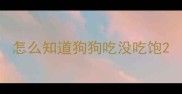 怎么知道狗狗吃没吃饱