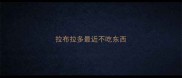 拉布拉多最近不吃东西