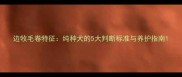 边牧毛卷特征纯种犬的5大判断标准与养护指南
