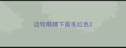 边牧眼睛下面毛红色