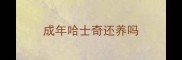 成年哈士奇还养吗