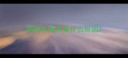 狗狗半夜哭是什么原因