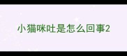 小猫咪吐是怎么回事