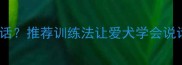 哈士奇叫声像人说话推荐训练法让爱犬学会说话附养宠指南