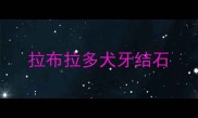 拉布拉多犬牙结石