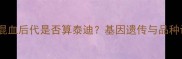 泰迪犬混血后代是否算泰迪基因遗传与品种认定全