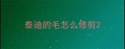 泰迪的毛怎么修剪