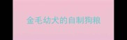 金毛幼犬的自制狗粮