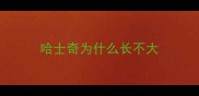 哈士奇为什么长不大