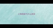 小狗倒吸气什么原因