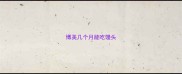 博美几个月能吃馒头