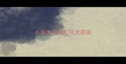 小柴犬多久打狂犬疫苗