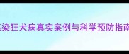 幼犬必看小狗感染狂犬病真实案例与科学预防指南附疫苗时间表