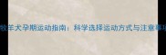 边境牧羊犬孕期运动指南科学选择运动方式与注意事项全